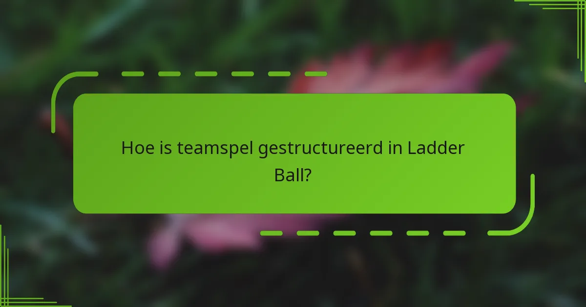 Hoe is teamspel gestructureerd in Ladder Ball?