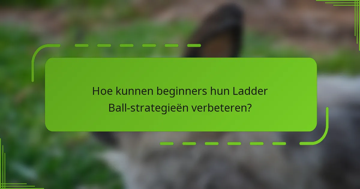Hoe kunnen beginners hun Ladder Ball-strategieën verbeteren?