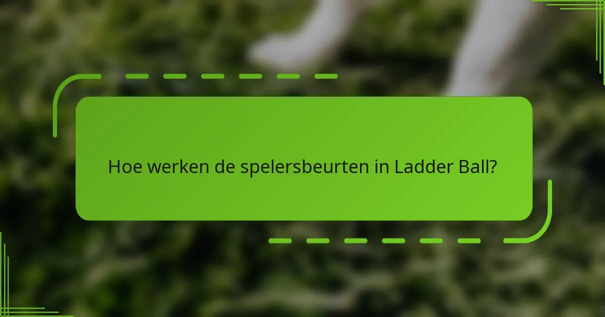 Hoe werken de spelersbeurten in Ladder Ball?