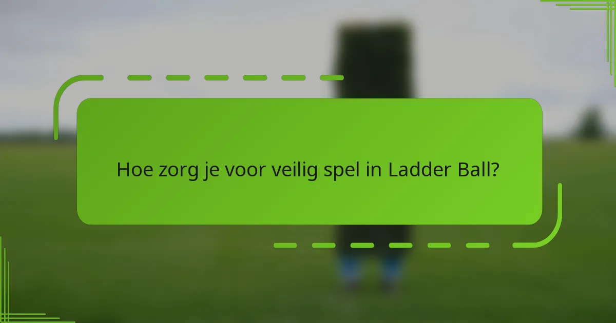 Hoe zorg je voor veilig spel in Ladder Ball?