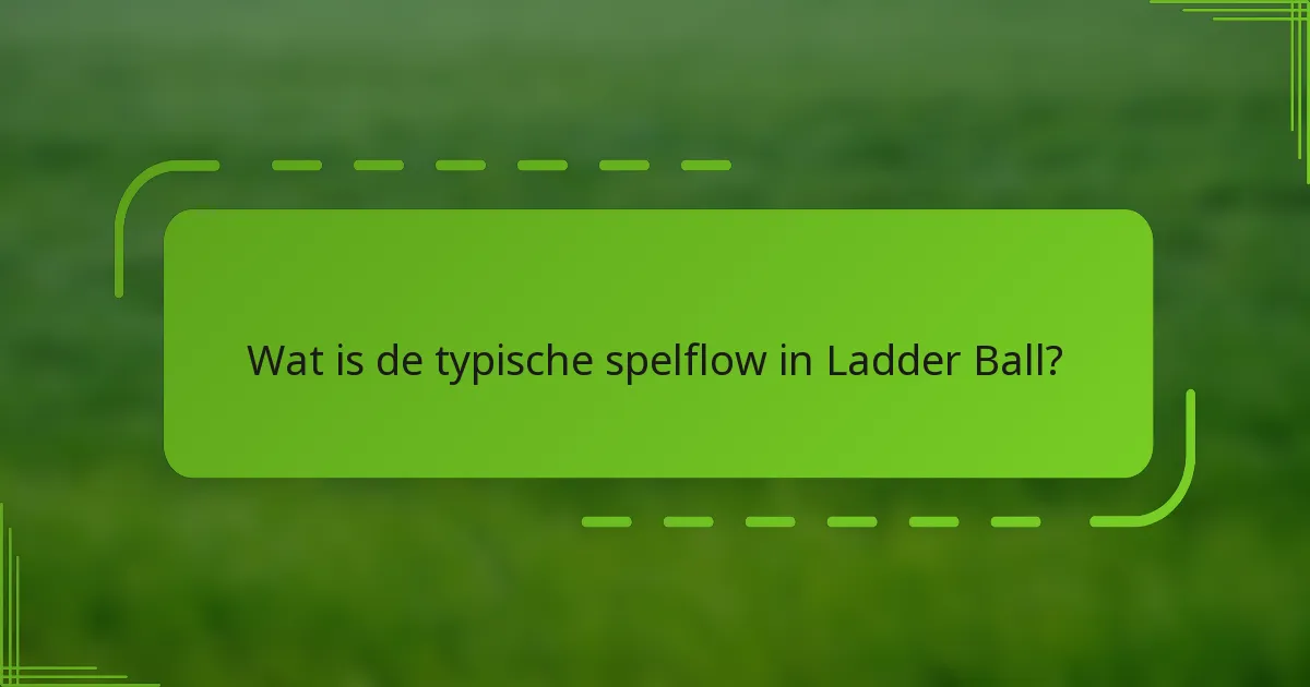 Wat is de typische spelflow in Ladder Ball?
