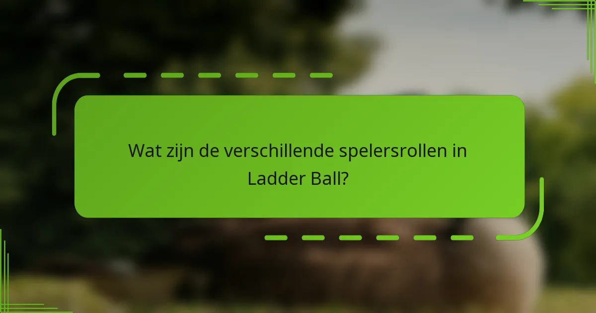 Wat zijn de verschillende spelersrollen in Ladder Ball?